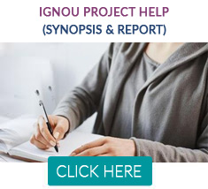 IGNOU Project Synopsis & Report